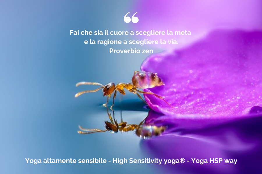 Yoga altamente sensibile oltre il velo di Maya - Yoga Magazine